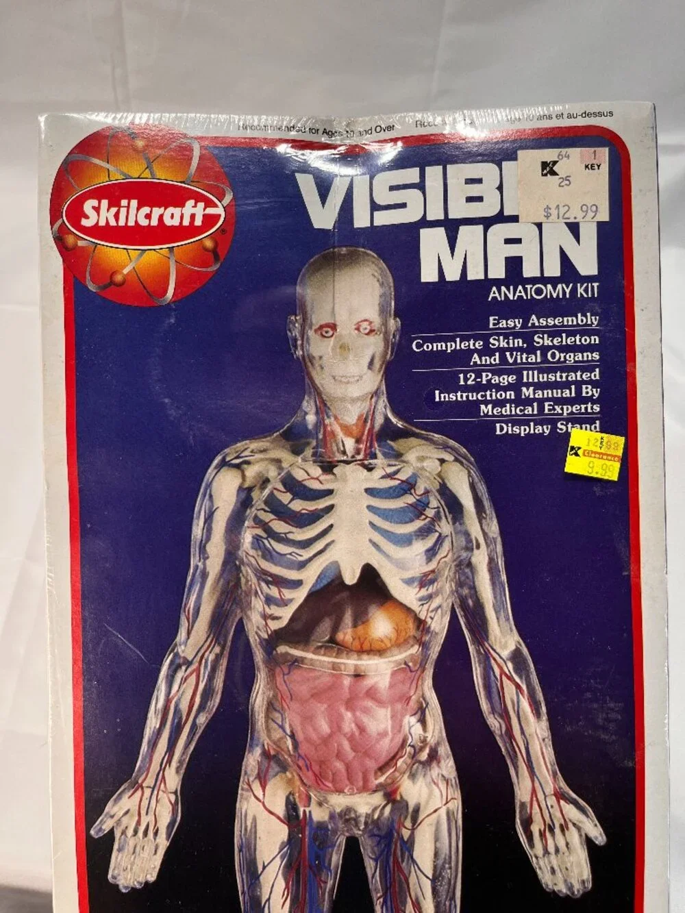 Vintage 1994 Skilcraft VISIBLE MAN Educational Anatomy Model Kit 14